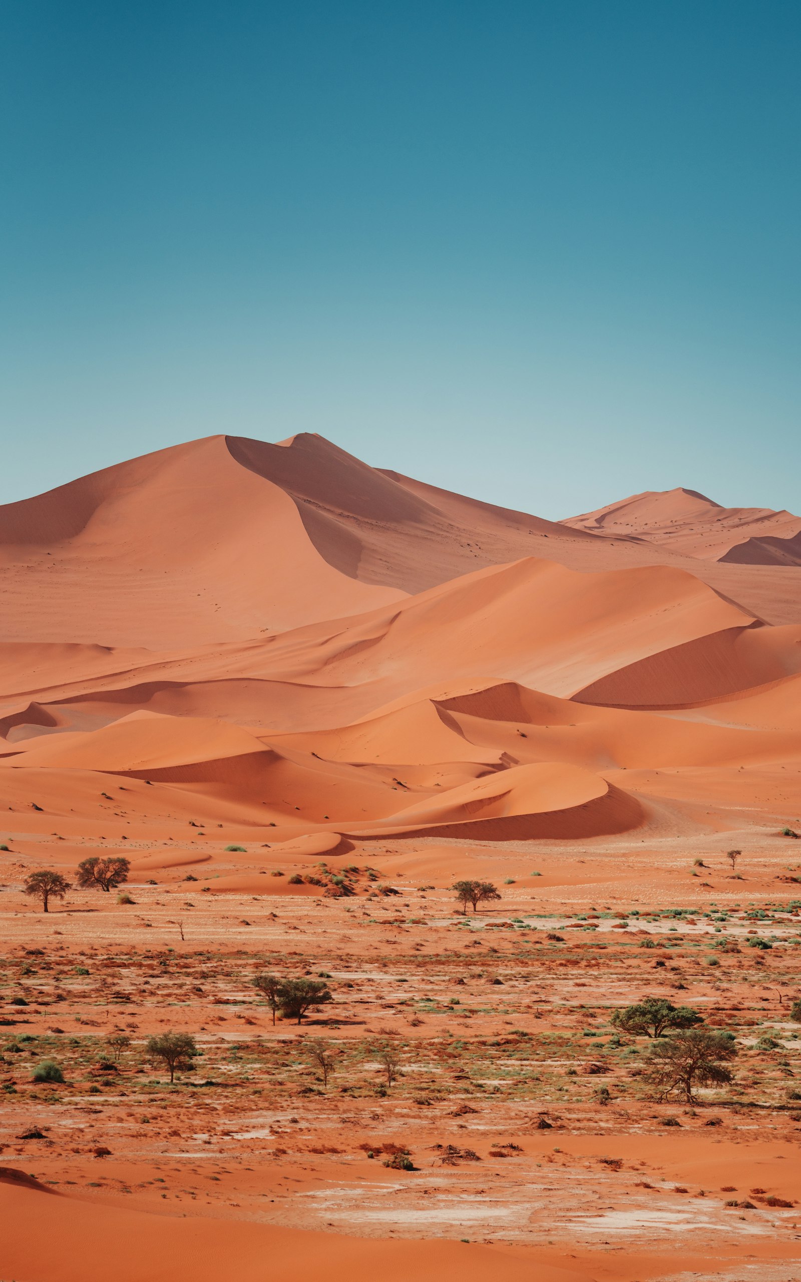 Sunrise on the sculpted red dunes of Sossusvlei